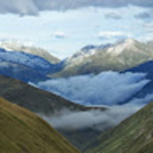 Meet your Posher, Bridgette